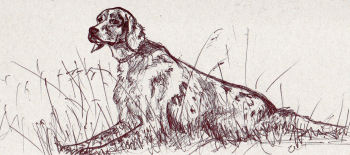 Disegno di Giampiero Zara